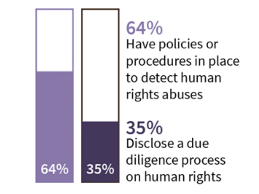 Graph about companies' policies to detect human rights abuses