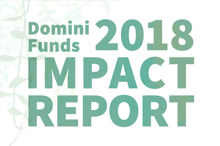 Cover of impact report "Domini Funds 2018 Impact Report"