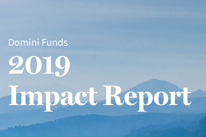 Cover of the Report "Domini Funds 2019 Impact Report"