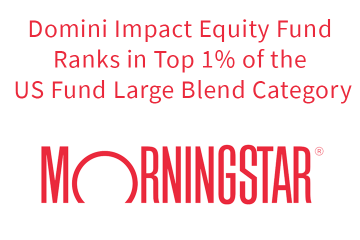 Domini Impact Equity Fund Ranks Top 1% of the Morningstar US Fund Category