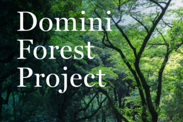 Domini Forest Project