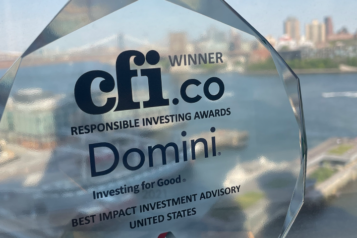 Domini Awarded Best Impact Investment Advisory US 2021