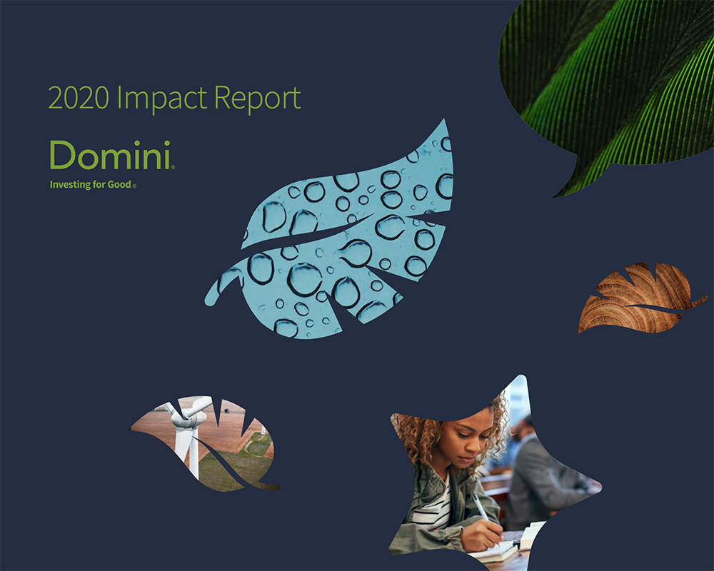 Domini Releases 2020 Impact Report