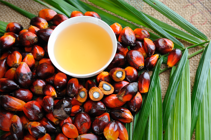 Highlight from Our ESG Research: Sustainable Palm Oil