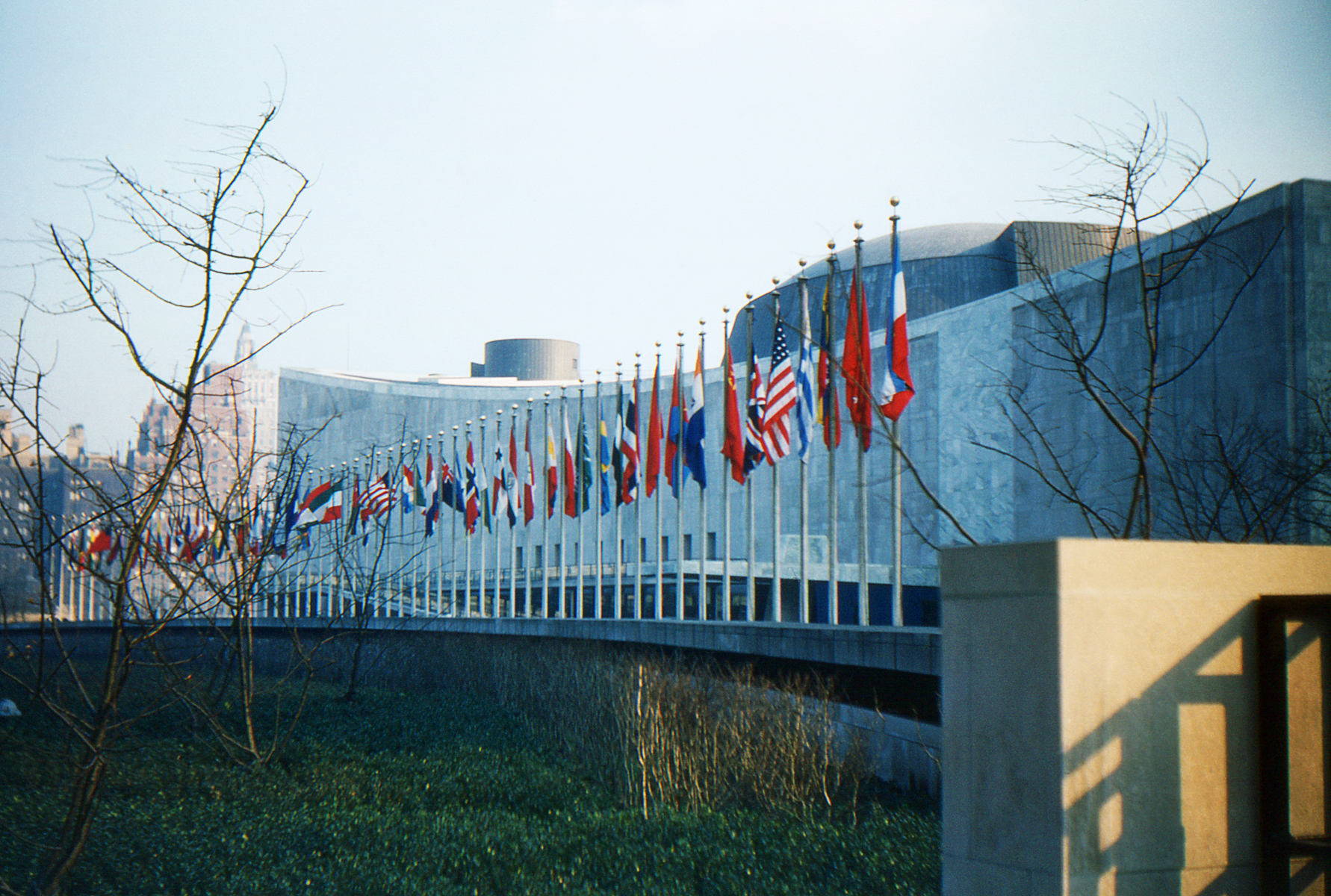 picture of UN Flags outside a building.