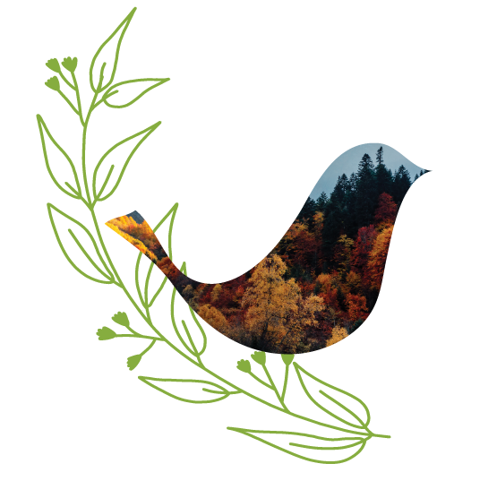 Bird cut out with plant illustration