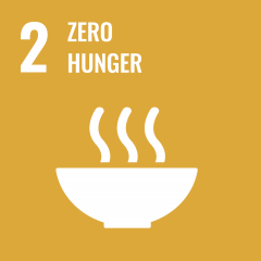 UN SDG - Zero Hunger Icon