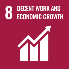 UN SDG - Decent Work and Economic Growth Icon