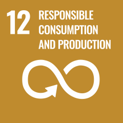 UN SDG - Responsible Consumption and Production Icon