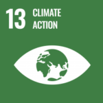 UN SDG - Climate Action Icon