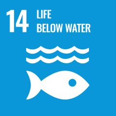 UN SDG - Live Below Water Icon