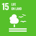 UN SDG - Life on Land Icon