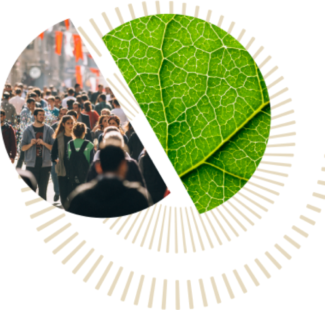collage of people walking in a busy urban area and a close-up of a leaf.