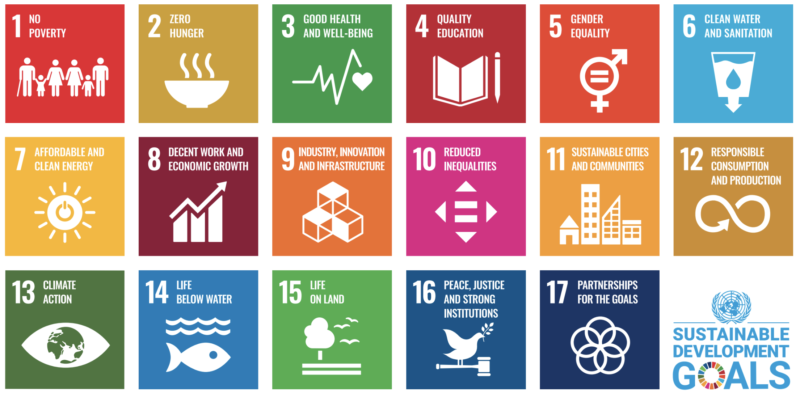 Domini and the Sustainable Development Goals