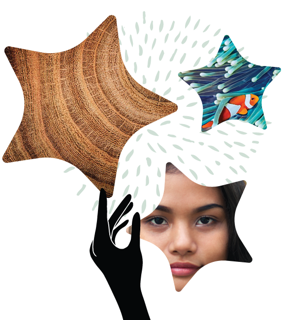 Wood, child, fish composite image