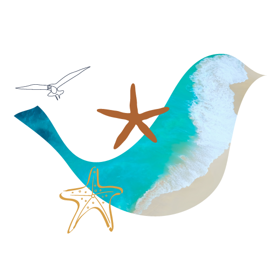 A bird shaped cut out showing a beach adn two starfish.