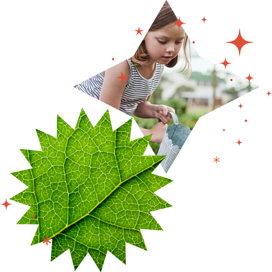 Child and leaf