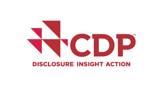 CPD Disclosure Insight Action