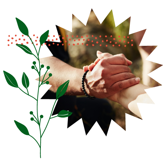 Two hands grasping and a plant illustration.