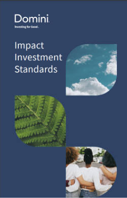 Impact Investment Standards Cover