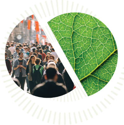 People in a city and a plant leaf.