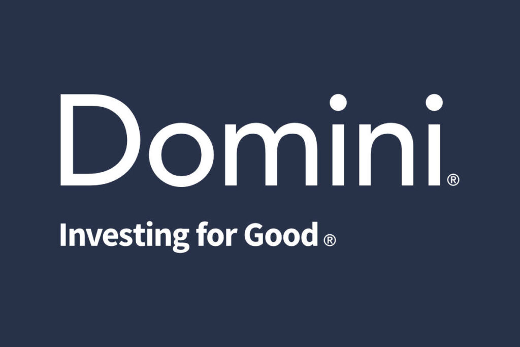 Domini Logo on a blue background