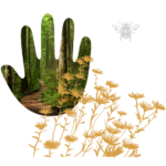 Hand with a Forest