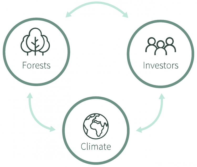 The inter-relationship between forests, climate, and investors.