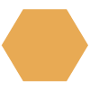 gold hexagon icon