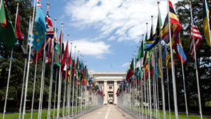 National flags outside UN building