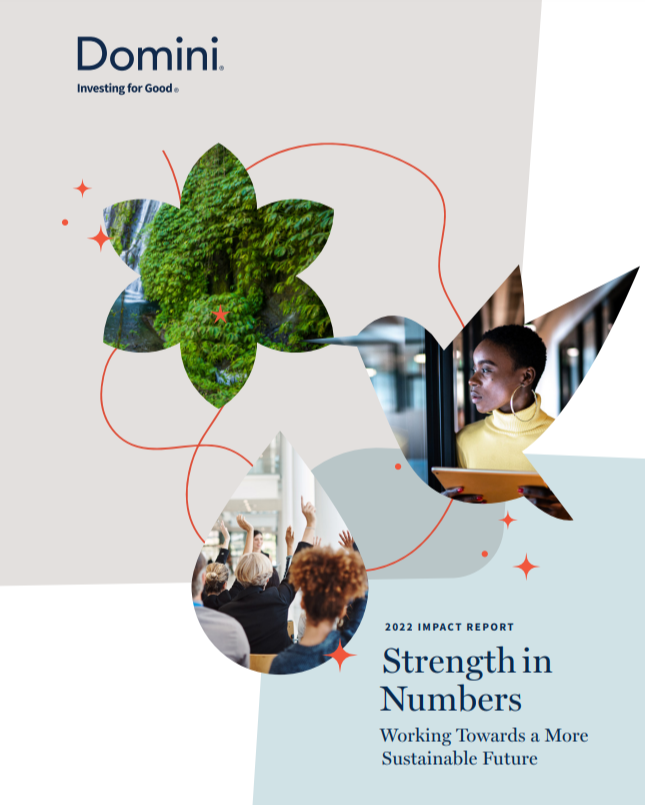 Cover of our report, with the report title: Strength in Numbers