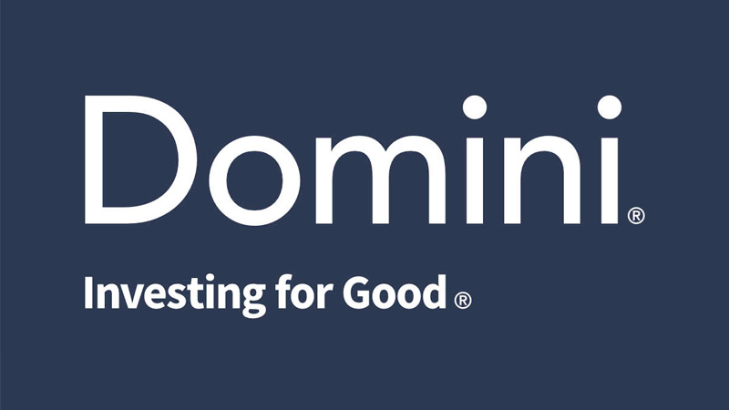 Domini Logo insight tile