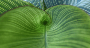 Q3 2025 long piece tile