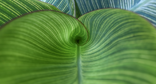 Investing for a Net Zero Future: Our Commitment to Climate Action and Portfolio Decarbonization