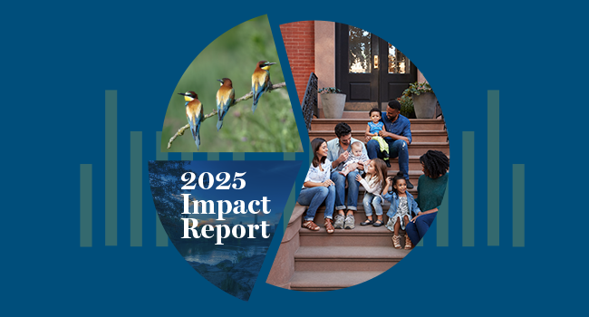 Domini Launches 2025 Impact Report, Exploring Why Investment Choices Matter Now More Than Ever